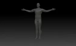 Human Male Base 3D model