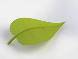 Leaf