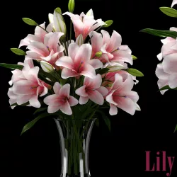 LILY 2 3D model