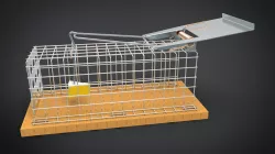 Live Trap For Mice
