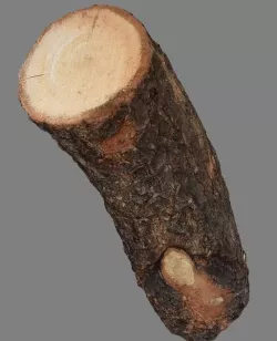 Low poly wooden log  Low-poly  3D model