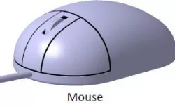 Mouse model