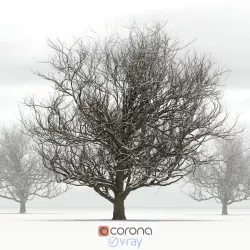 Oak tree with snow 3D model