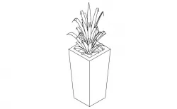 Pot Plant