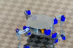 quadruped robot