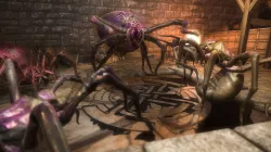 Spiders Pack PBR Low-poly  3D model