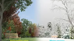 Summer Winter Garden Trees 3D model