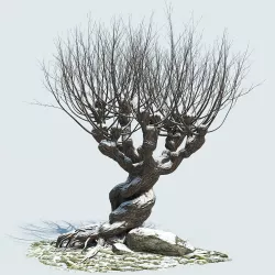 Whomping Willow 3D model