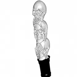 3 Wise Skulls ($7 Cane/Walking Hiking Sticks)