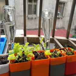 auto water plant feeder