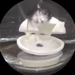 Big-Bubble Aquarium Decoration / Air Capacitor (with Sucker-Cup Bottom)