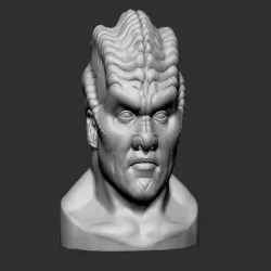 Bortus Portrait Bust