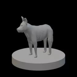 Dog - Wild Dog