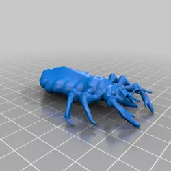E3D+VET exercise: Head Lice