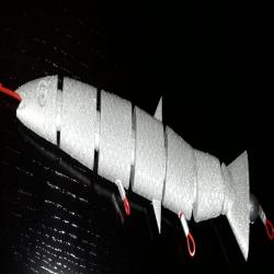 3D Printed Darter Plug Fishing Lure by 3DPrintedAngler