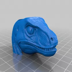 Raptor Boy Scout Neckerchief Slide