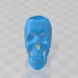 Skull Boy Scout Neckerchief Slide