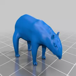Tapir - Riding Tapir