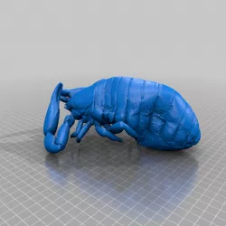 3D Museum Specimens - Scorpions, Pseudoscorpions, Birds, Mites