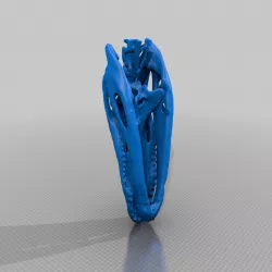 Alligator Skull - CT Scan