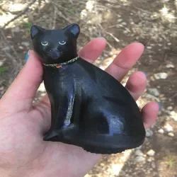 Cat Cache