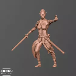 Half Elf Bladesinger
