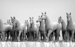 Horses at ease 28mm heroic scale