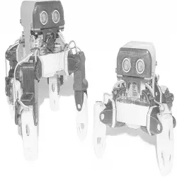 LoCoQuad
