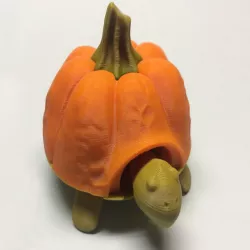 Pumkin top for Squishy Turtle
