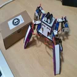 Q1 Robot custom