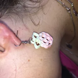 Raspberry Pi earrings