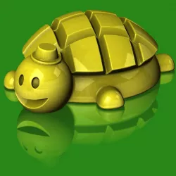 Toy tortoise