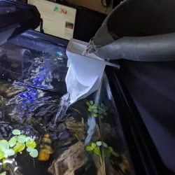 Aquarium Corner Funnel