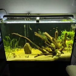 Aquarium LED Light