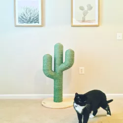 Cactus Cat Scratcher