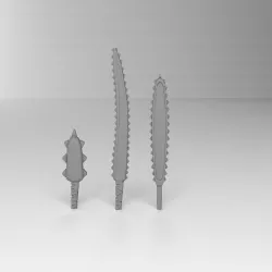 Carcharodon carcharias tooth blades