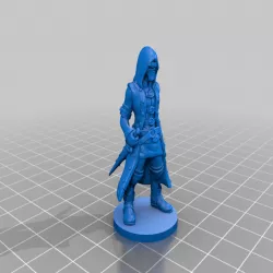 Cloaked assassin