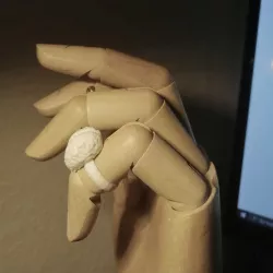 Customizable Brain Ring