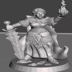 Female Elven Eldritch Knight 