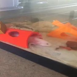 Fish Aquarium Hiding Tunnel