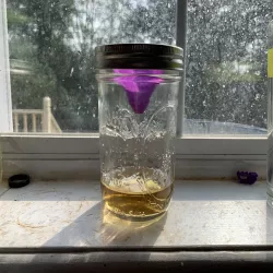 Parametric Ball Jar Gnat Trap