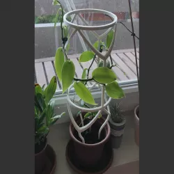 Plant Guider