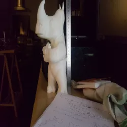 Rhino