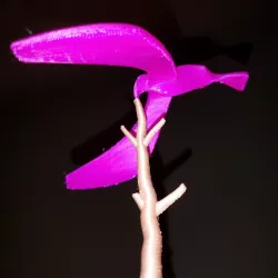 Spinning Balancing Bird Remix Without Attached Supports