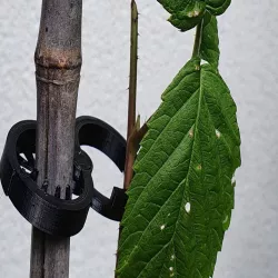  super awesome Plant Clip - with teeth and closeable