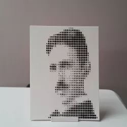 Tesla's halftone picture