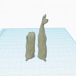 Two-part Whale