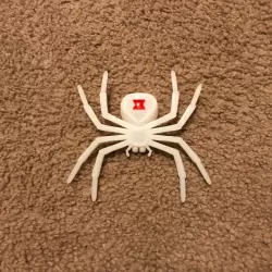 Black Widow Spider (Black House Spider remix)