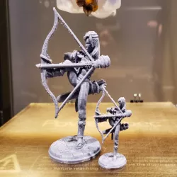 D&D Wan Han, the one armed Samurai