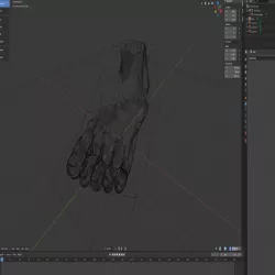 Foot Mold test*